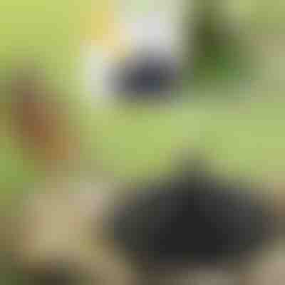 Oživite svoj vrt s čarobno solarno fontano | FONTANA