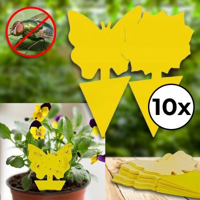 Lepljive pasti za muhe (10 kosov) | BUGILURE