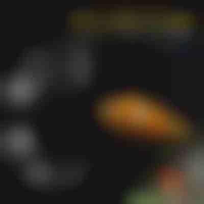 Komplet pladnjev za hranjenje akvarija | FINTROL