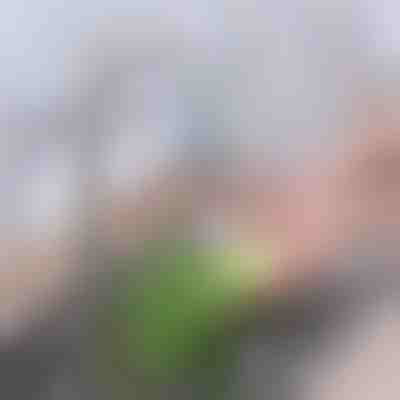 Napredni ogljikov filter za pipo | CHARFILTER